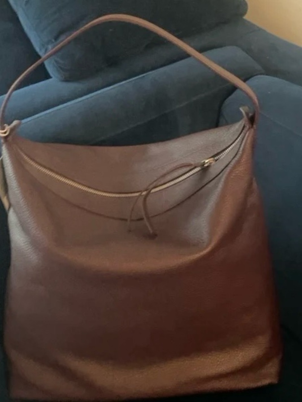 Everlane Pebbled Leather Hobo in Deep Plum